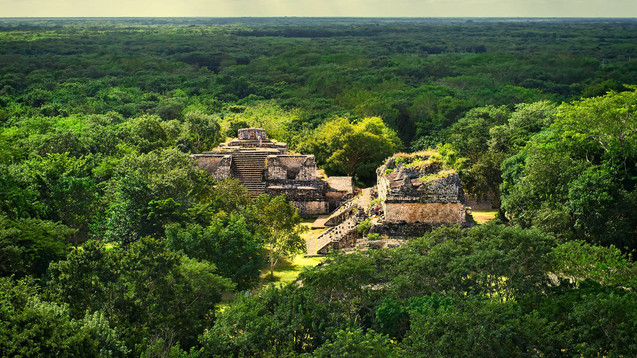NCKRI Research made national geographic for their findings in Balamku, Yucatan, Mexico caves.