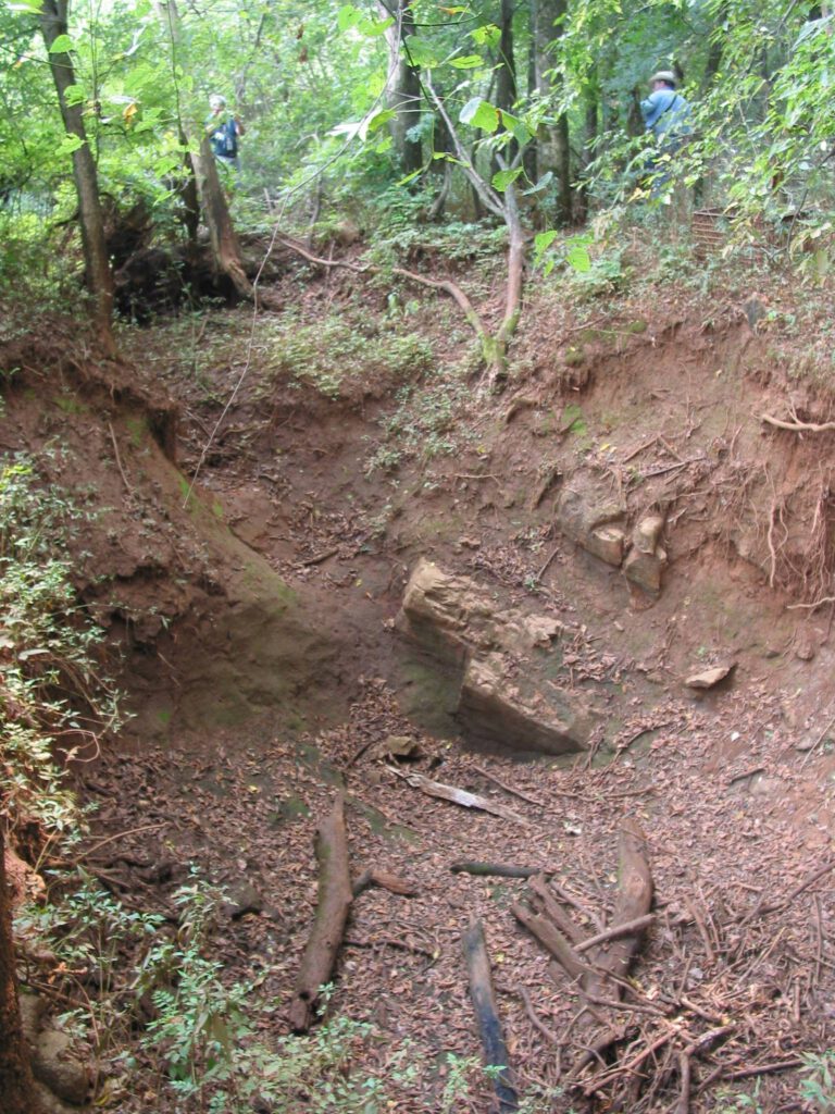 Cover collapse sinkholes result in millions of dollars in damages each year around the US. Luckily, this Alabama sinkhole collapsed in an undeveloped area. Photo courtesy: NCKRI Staff George Veni.