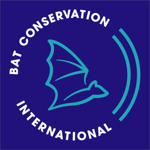 International Bat Conservation logo