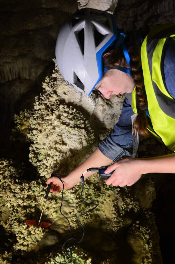 The NCKRI Academic Program teaches students how to research karst, study caves, and analyze findings like lampenflora to study the DNA and learn all about caves.