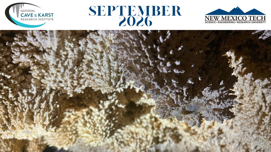 Link to NCKRI TBD 2026 Newsletter September 2026 banner with NCKRI logo, NMT logo and a image of biothems, cave formations with small spike-like perturbances